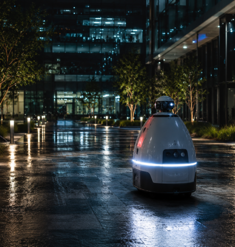 Security Patrol Robots Effectiveness and Privacy Trade-offs